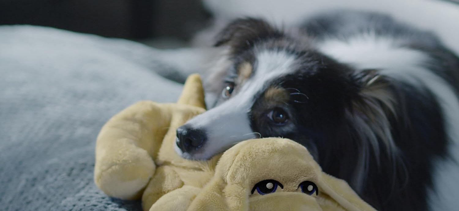 The first night in the crate
